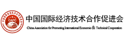 中国国际经济网